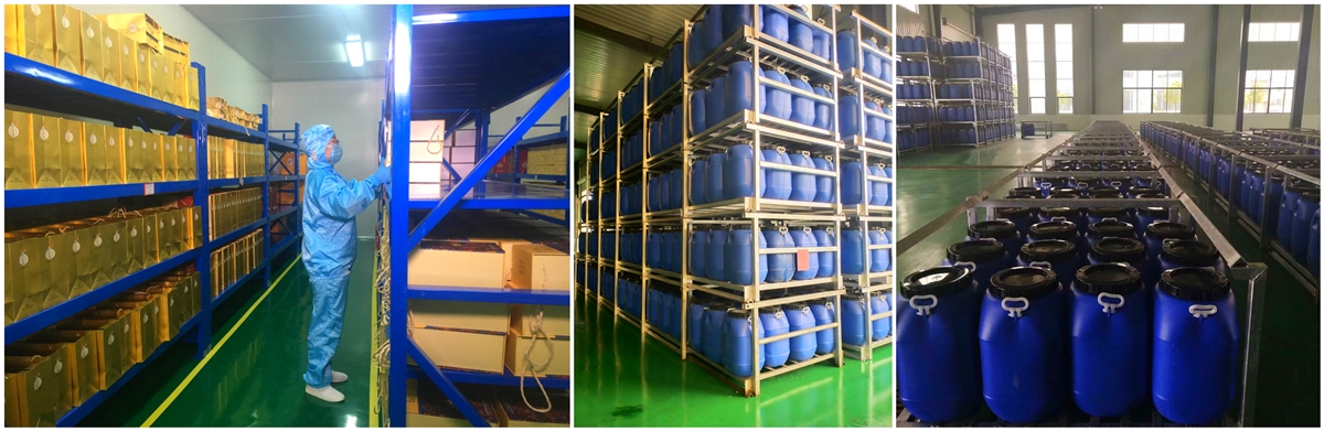 福多美上官網 尺寸1200.jpg